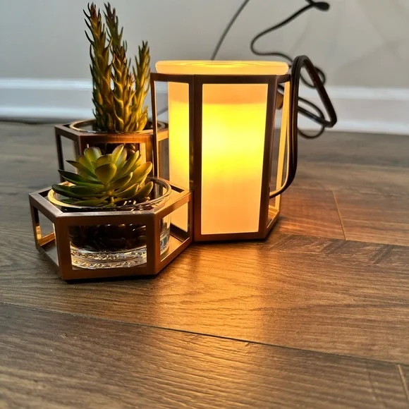 Wild Desert Scentsy Warmer - Picture 3 of 7